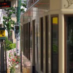 【Tokyo Train Story】都電荒川線の車体にバラが映り込む