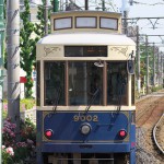 【Tokyo Train Story】バラと東京スカイツリーがある風景（都電荒川線）
