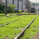 【Tokyo Train Story】緑の線路敷（都電荒川線）