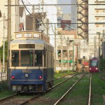 【Tokyo Train Story】夕暮れ時の優しい光（都電荒川線）