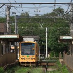 【Tokyo Train Story】飛鳥山公園の緑を背景にした黄色い都電荒川線