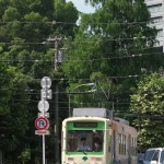 【Tokyo Train Story】飛鳥山公園下の緑（都電荒川線）