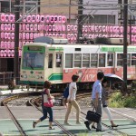 【Tokyo Train Story】提灯が並ぶ壮観な眺め（都電荒川線）
