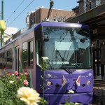 【Tokyo Train Story】夏のバラ（都電荒川線）
