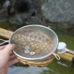 川越の熊野神社境内にある銭洗弁財天の厳島神社で銭を洗ってみた
