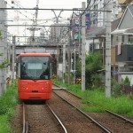 【Tokyo Train Story】線路際に緑がある季節（都電荒川線）