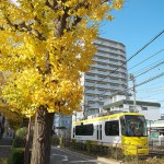 【Tokyo Train Story】黄色尽くしの世界（都電荒川線）
