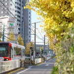【Tokyo Train Story】黄葉の中を走る都電荒川線新型車両8900形