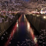 【東京春景色】目黒川沿いの桜が満開！中目黒駅と池尻大橋駅の間を歩いて、美しい夜桜を撮影しながらお花見してきた！