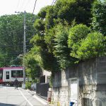 【Tokyo Train Story】緑がいっぱいの季節（都電荒川線）