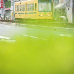 【Tokyo Train Story】緑がある爽やかな風景（都電荒川線）