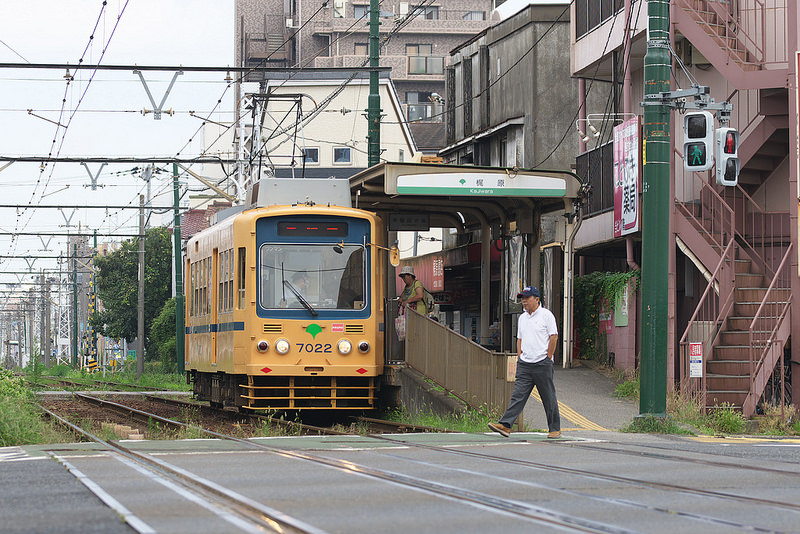 都電がある風景  とくとみぶろぐ