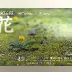 平成29年（2017年）11月4日（土）から11月12日(日)まで文京区千駄木にあるぎゃらりーKnulpにて「花 -vol.2-」展が開催 とくとみ撮影の写真が展示されます！ #地域ブログ