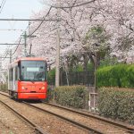 東京都荒川区内の都電荒川線(東京さくらトラム)沿線も桜が見頃になっています！ #地域ブログ #荒川区 #Locketsリレー2018春